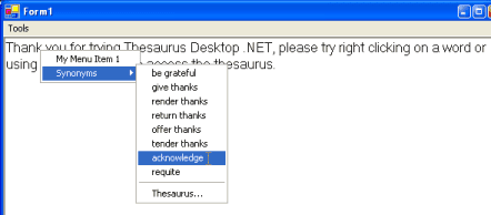 Keyoti Thesaurus Desktop
